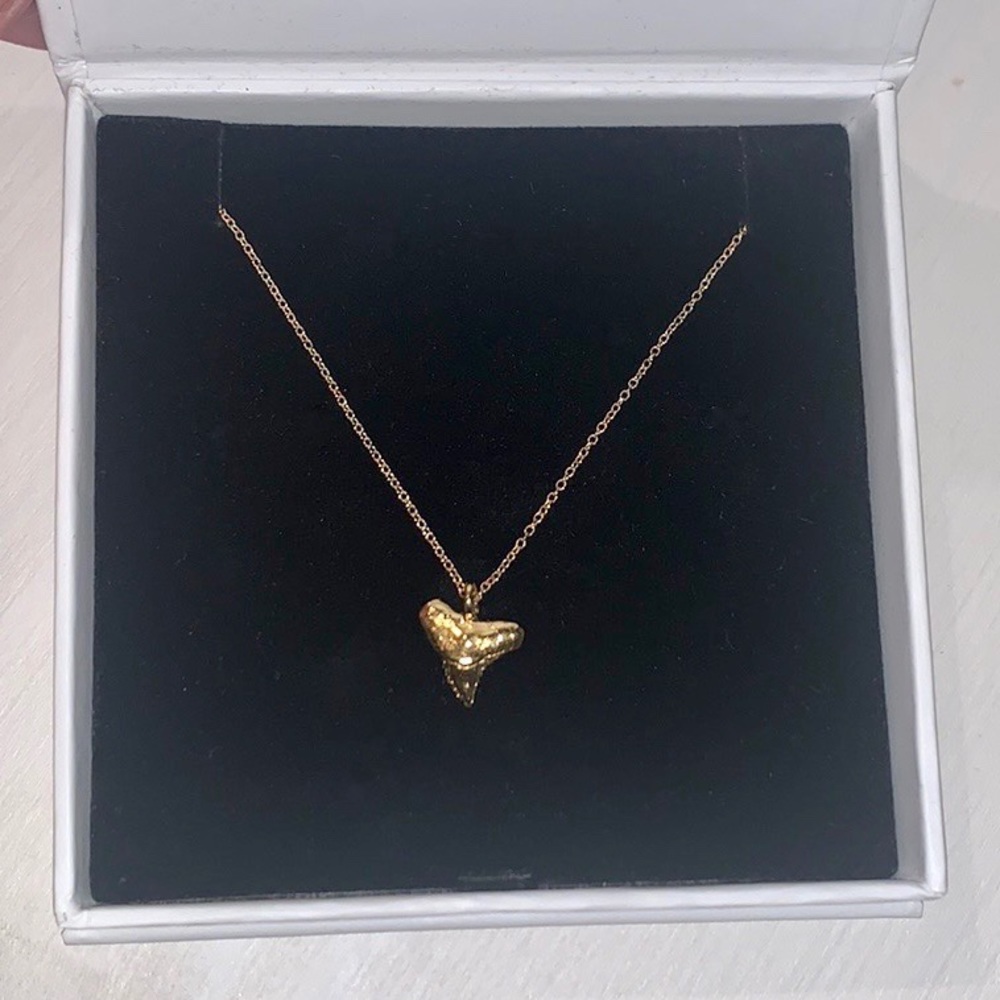 Gold sharks tooth necklace ♥️ NEW